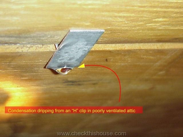 Condensation dripping from an H clip in poorly ventilated attic