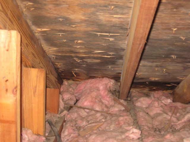 Missing vent chutes compromising attic ventilation and causing mold growth