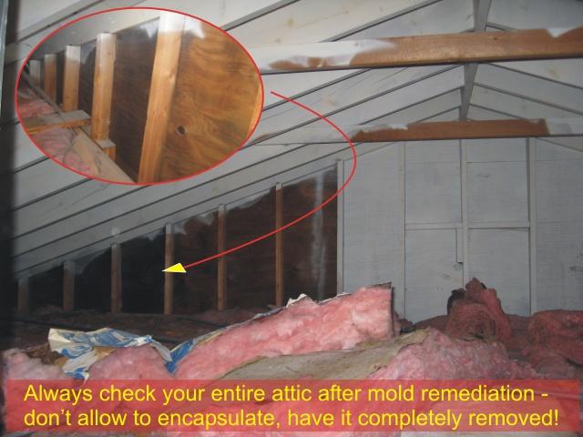 Getting rid of mold in the attic - partially encapsulated attic mold - your money wasted on poorly performed work. Always remove mold and correct moisture problem.