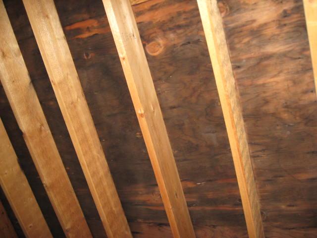 Getting rid of mold in the attic - roof framing not contaminated, roof and decking replacement might be less expensive than mold remediation