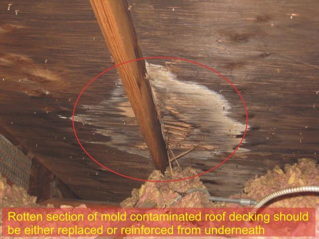 Getting rid of mold in the attic - rotten section of mold contaminated roof decking