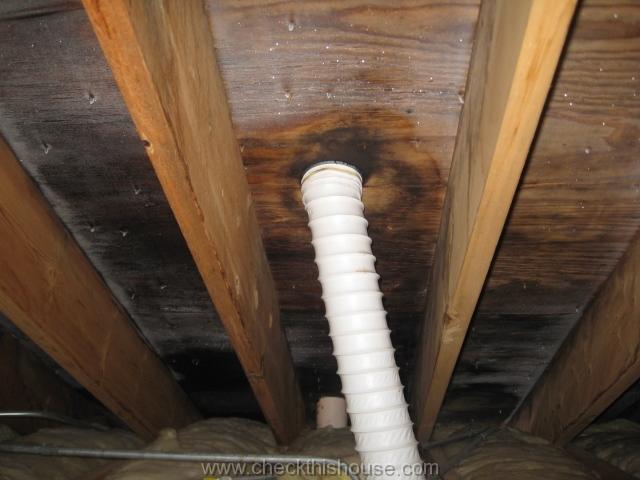 Attic black mold caused by inadequate ventilation