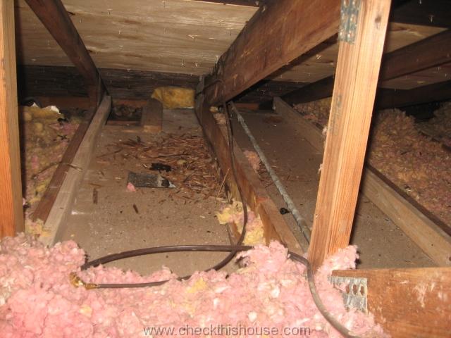 Attic black mold - missing insualtion on the attic floor allows for heat transfer