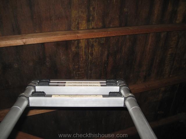 Pictures of mold in attic - contaminated decking surface visible directly above the attic access panel