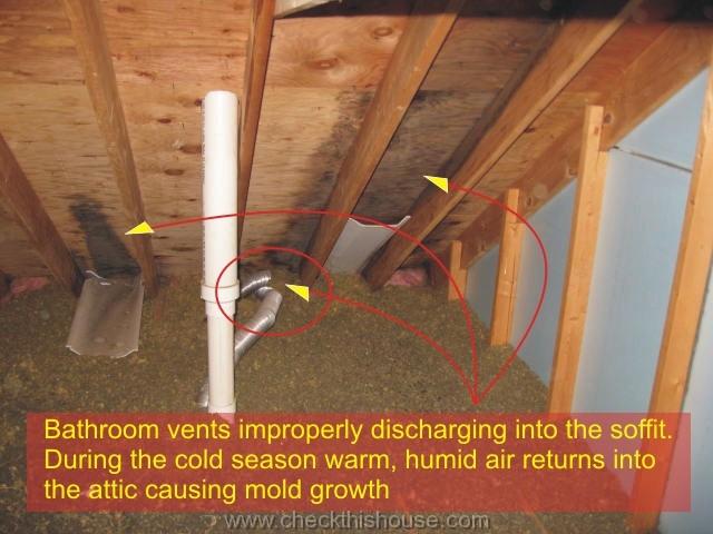 Bathroom vent improperly discharging into the soffit resulting in mold growth