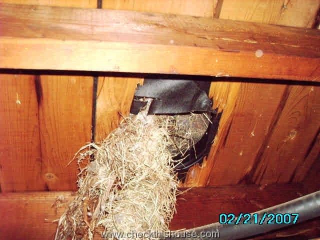 Attic ventilation / attic air circulation - roof vent clogged with a bird nest