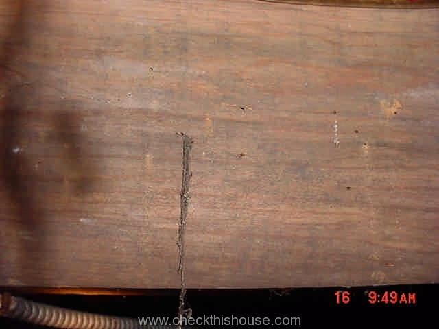 Small Holes Appearing Over The Past, Small Holes In Hardwood Floor